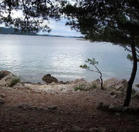 Gala Daire