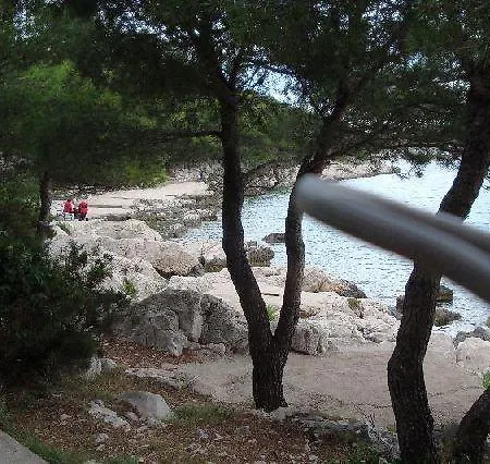 Gala Tisno